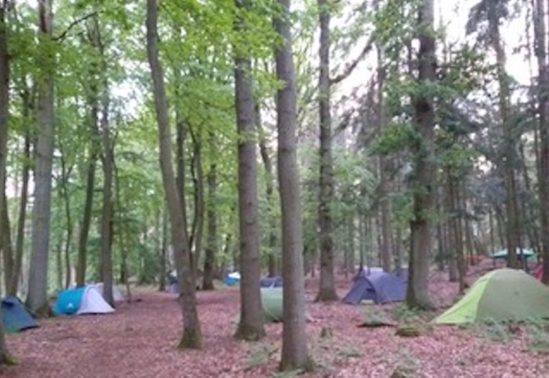 Temps 2 - Bois de Bonlez