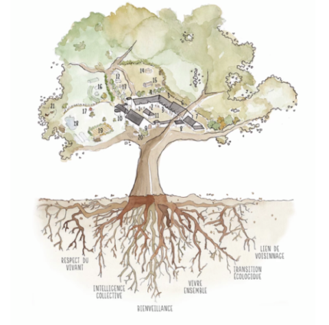 L'Arbre qui pousse descriptif