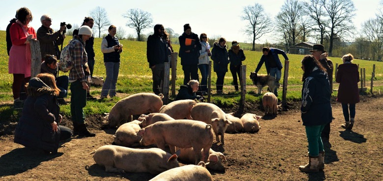 Biodynamie René Becker homme animal