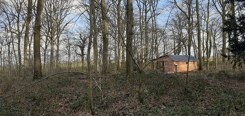 Cabane Forêt Spy