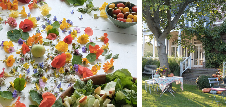 Abondance été jardin potager
