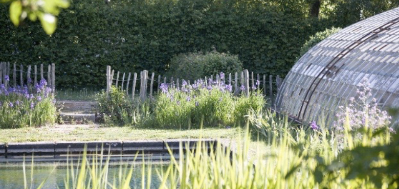 Vivre été piscine