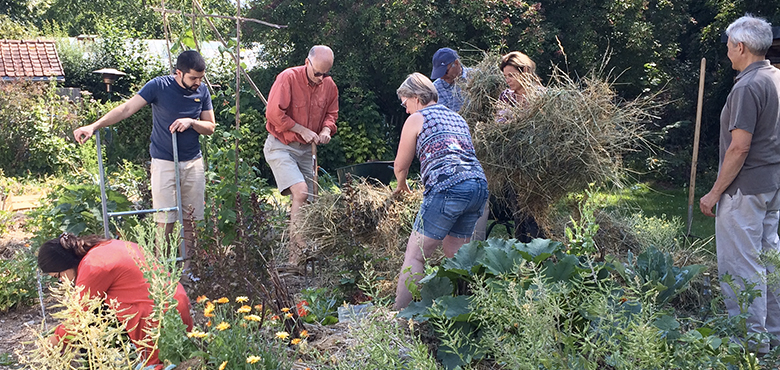 Vivre été potager