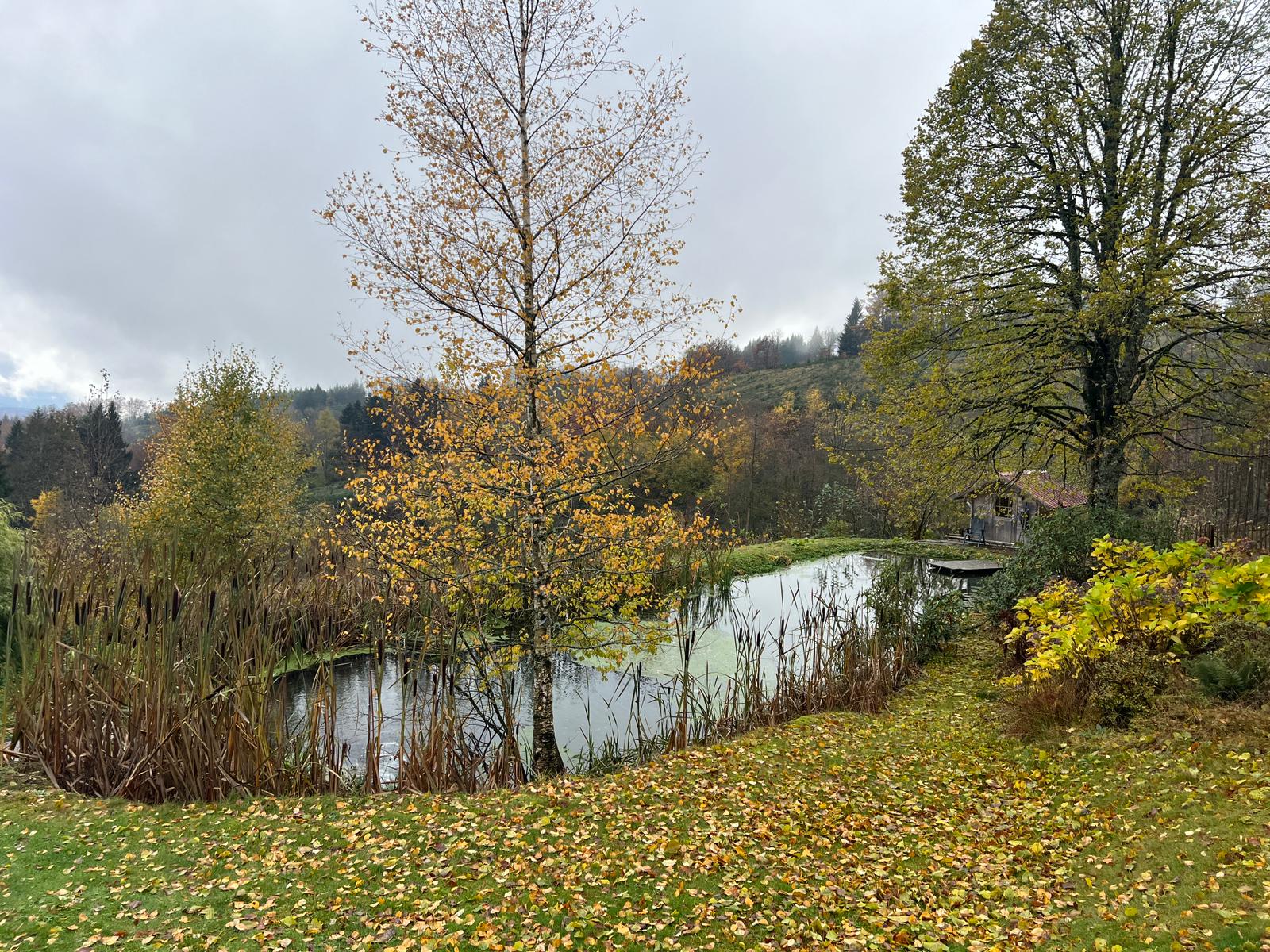 La Montagne étang TQR