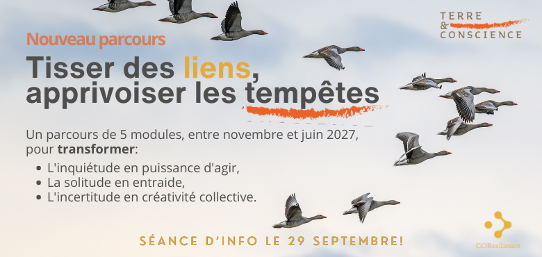 Tisser les liens, apprivoiser les tempêtes
