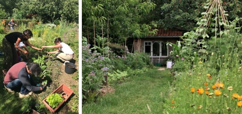 Mon potager au fil des saisons permaculture Laurence de Callataÿ Muriel Emsens