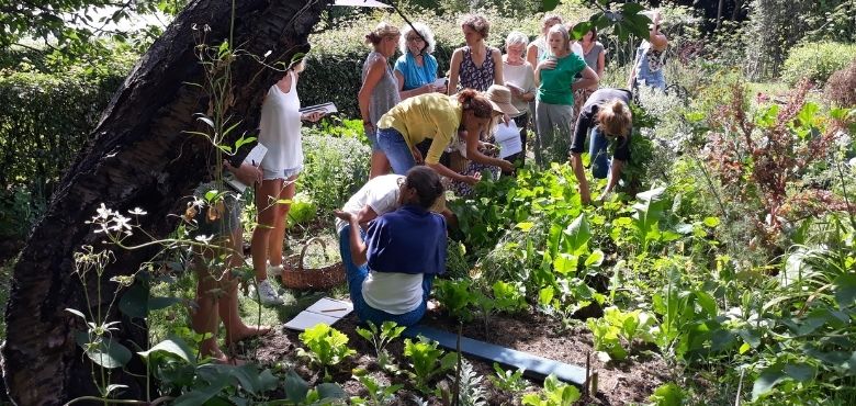 Mon potager au fil des saisons permaculture