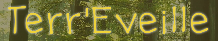 Terre'Eveille