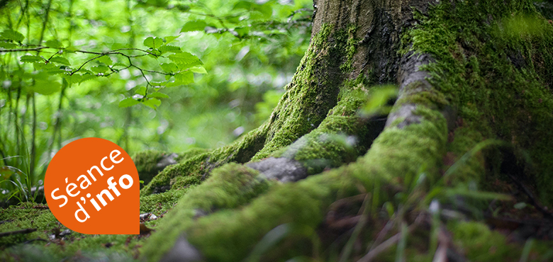 Vivre-la-forêt-Info