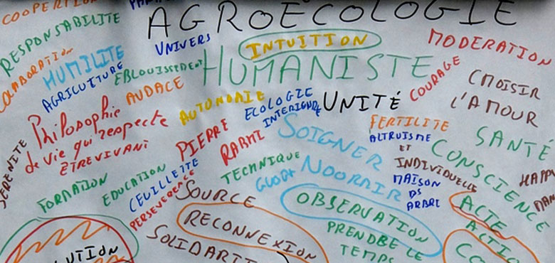 agro-ecologie-mindmapping