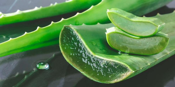 Gel hydroalcoolique à base d’aloe vera et savon liquide maison pour les mains