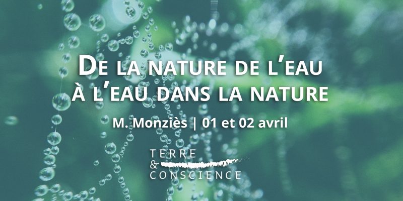 Conférence M. Monziès Terre et Conscience