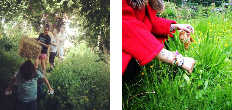 Rainbowlogie : des ateliers sur mesure pour se relier à la nature