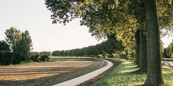 Cycle autour de l'arbre (temps 05)