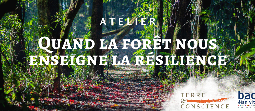 Forêt résiliente