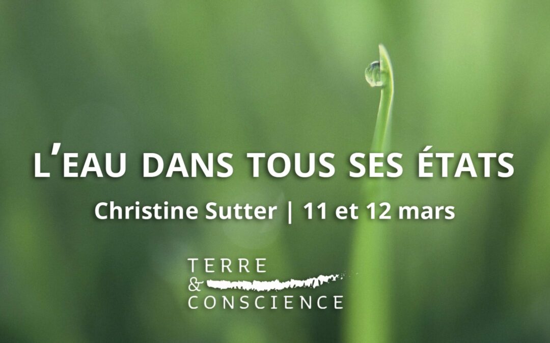 Christine Sutter : l’eau dans tous ses états