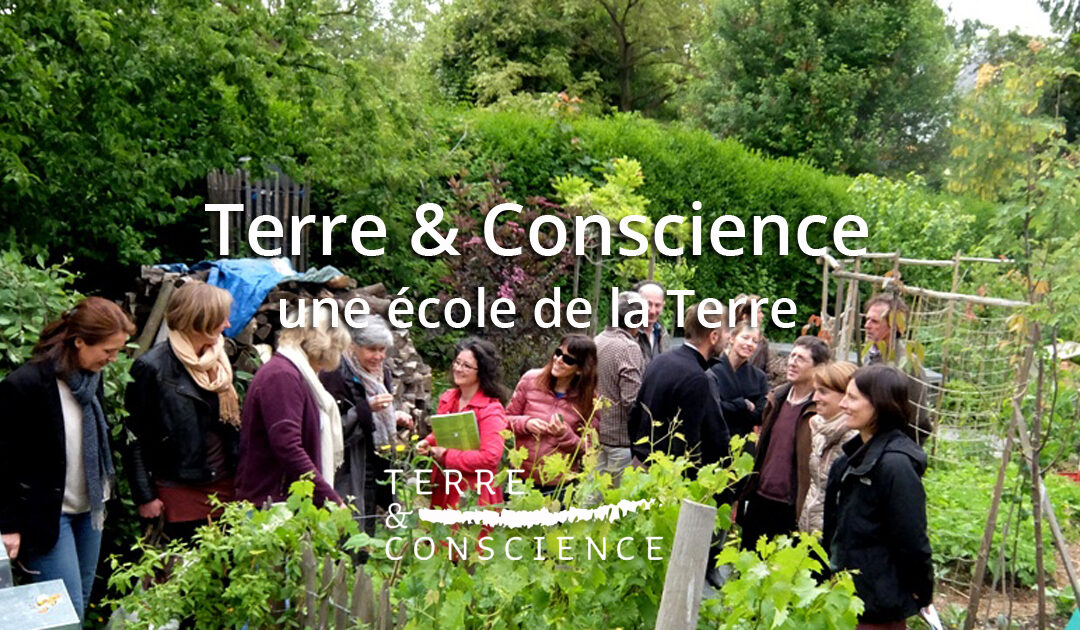 terre-et-conscience-ecole-de-la-terre