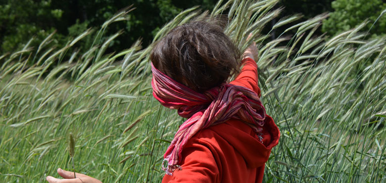 Femmes En Transition avec Aline Wauters