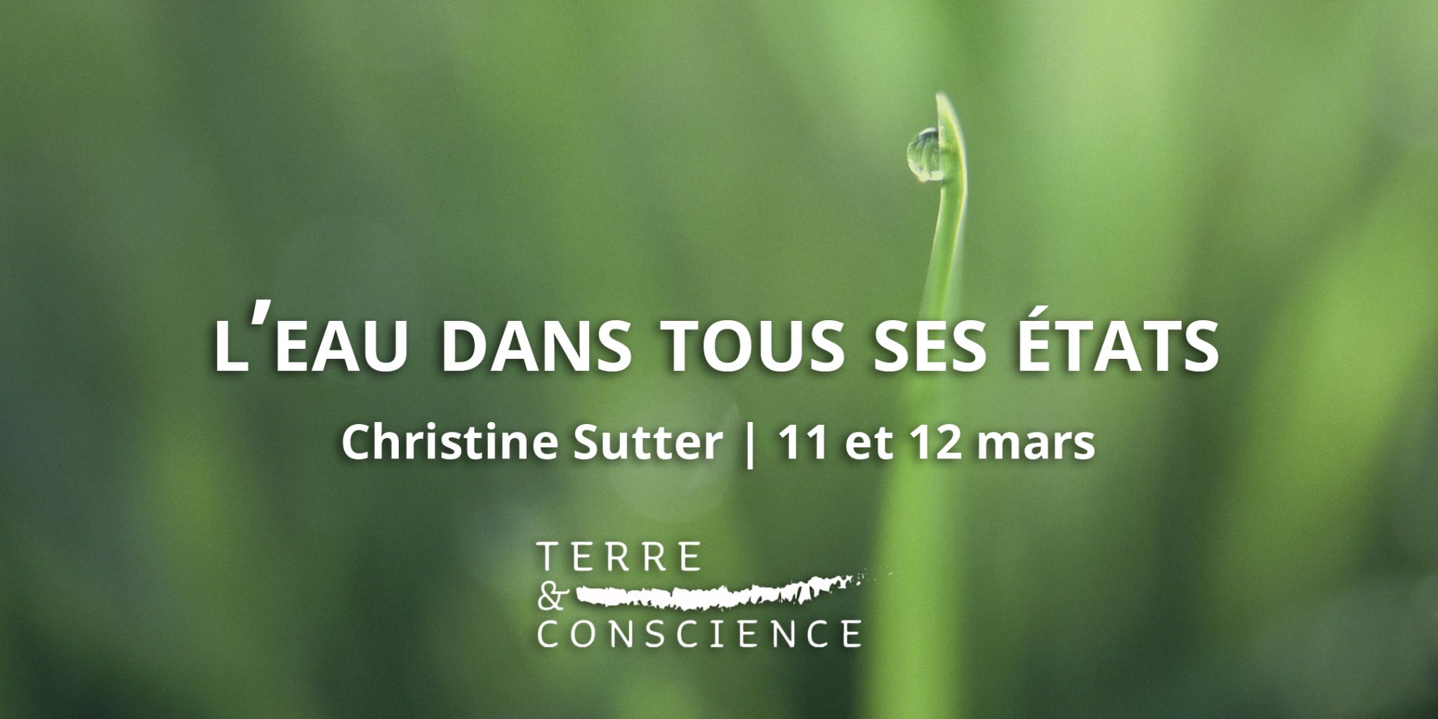 Christine Sutter : l'eau dans tous ses états