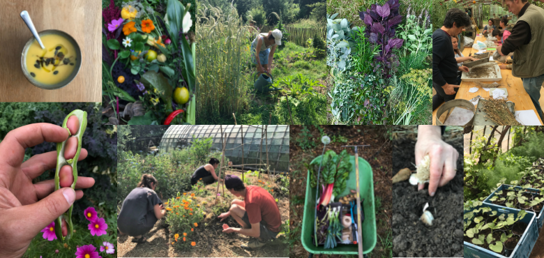 mosaique - le potager naturel