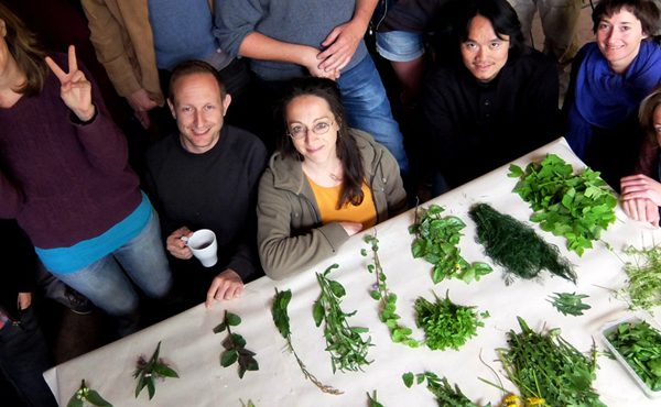 Cours de botanique - Formation permaculture