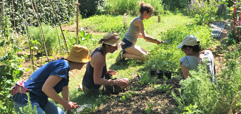 formation longue- Potager naturel